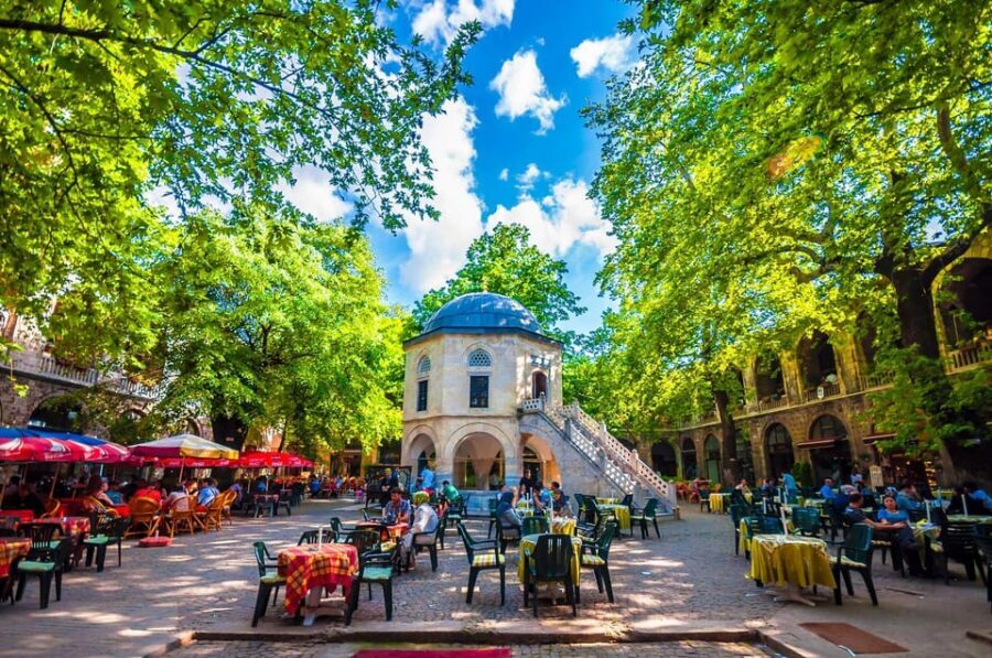 Istanbul: Bursa Tour w/ Cable Car Ride & Uludag Mountain - Uludağ National Park and the 600-Year-Old Tree