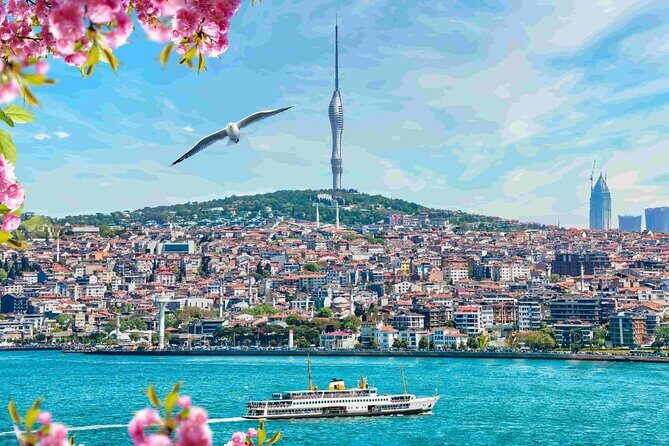 Istanbul Camlica Tower: Private Entry, Transfer & Dine Choices - How the tour actually feels in real life