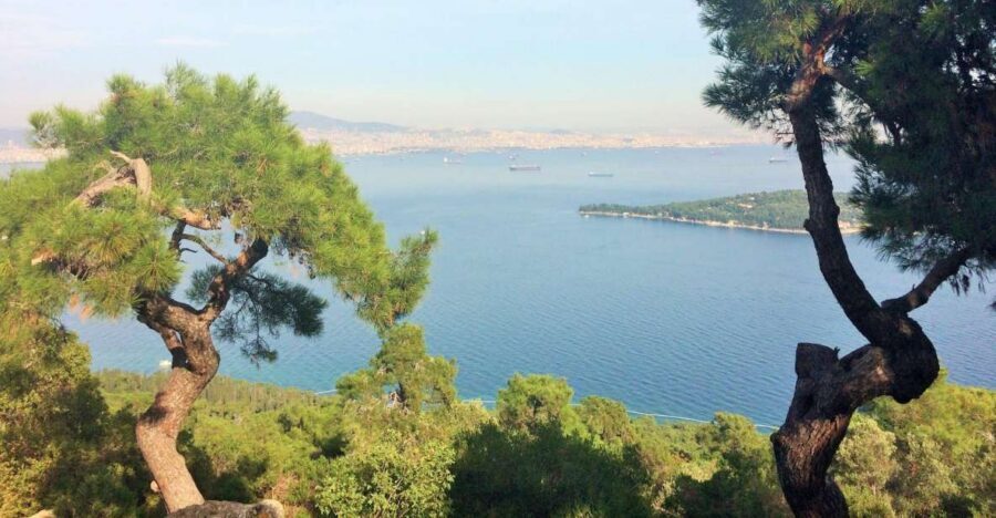 Istanbul: Day Trip to the Princes' Islands - Marmara Sea Cruise to Büyükada: why this day trip works