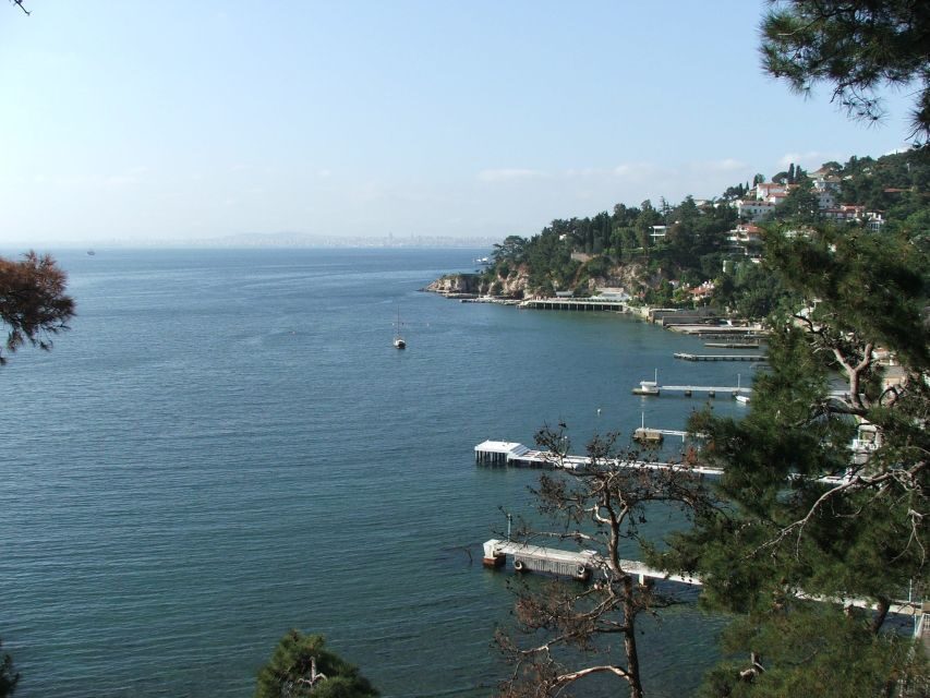 Istanbul: Day Trip to the Princes' Islands - Main square time: local life, not just photo stops