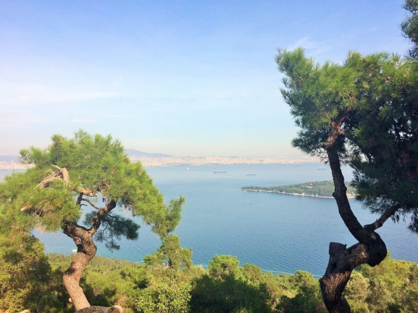 Istanbul: Day Trip to the Princes' Islands - The Büyükada walking tour: bay views and the island’s Victorian look