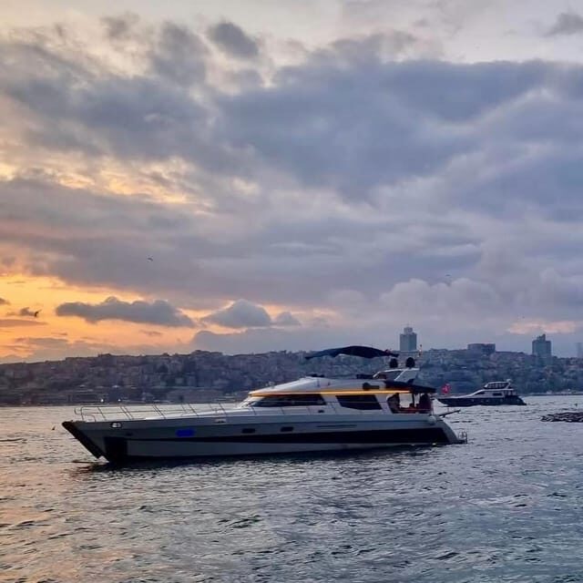 Istanbul: Daytime Bosphorus Yacht Cruise with Fruit & Snacks - The 2-Hour Route: Galata to the Maiden’s Tower (and the Bosphorus Bridge in Between)