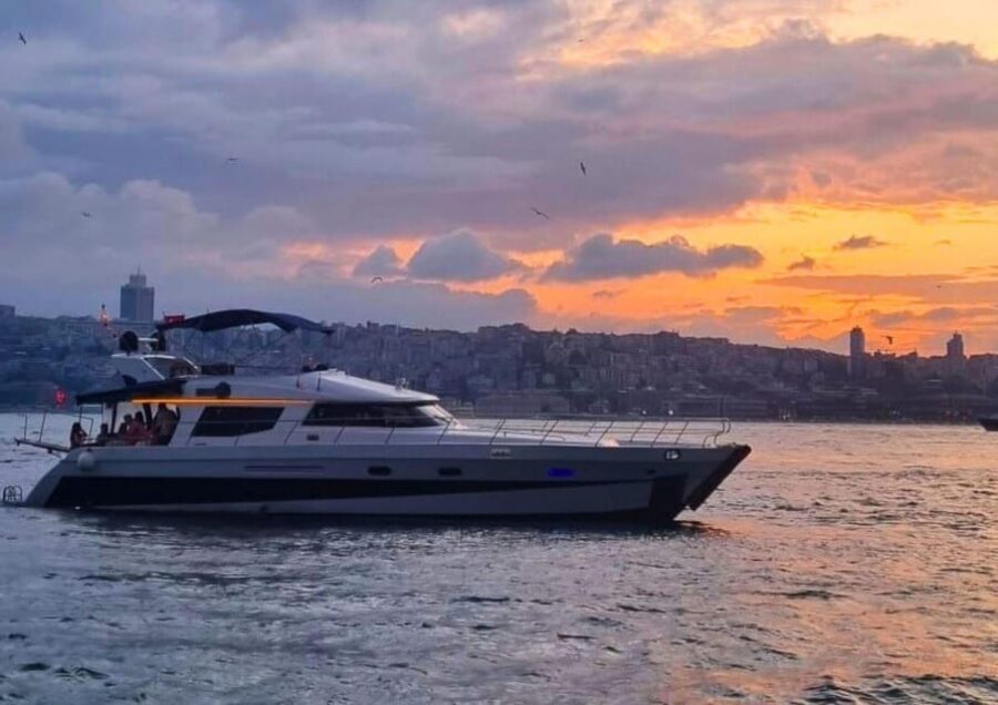 Istanbul: Daytime Bosphorus Yacht Cruise with Fruit & Snacks - Price and Value: What $31 Buys You Here