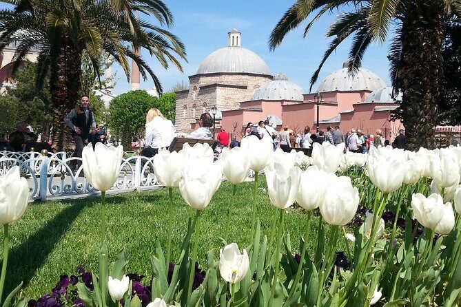 Istanbul Delights: A Journey Through Flavor and History - Blue Mosque: the tiles, the light, and the Friday rules