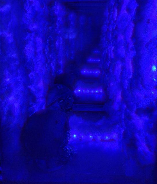 İstanbul: Frankenstein House of Horror, Escape Room Game - Price and Value: Is $47 Worth It?