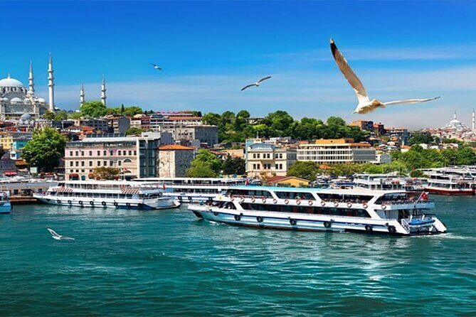 Istanbul Full Day Europe and Asia Sides Tour - 15 July Martyrs Bridge and the Forts You Can Actually See