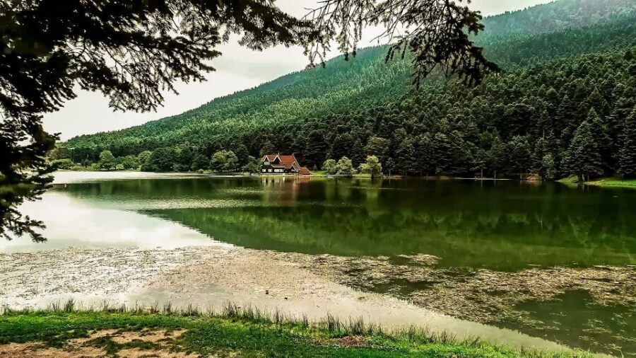 Istanbul: Full-Day Sapanca Lake and Masukiye Tour with Lunch - Istanbul to Masukiye: A Scenic Cut Through Daily Life