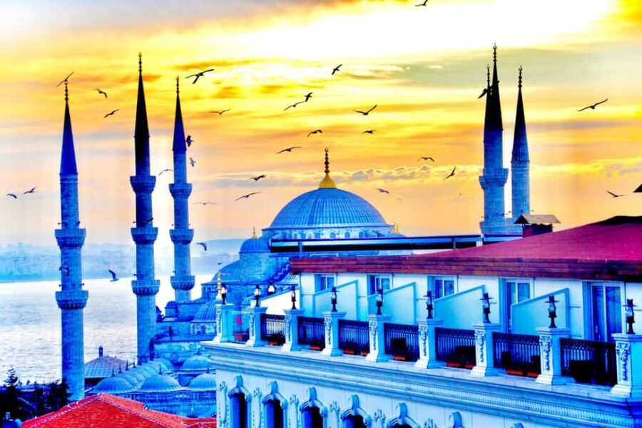 Istanbul: Hagia Sophia and Basilica Cistern Combo Ticket - Basilica Cistern: Roman engineering you can actually notice