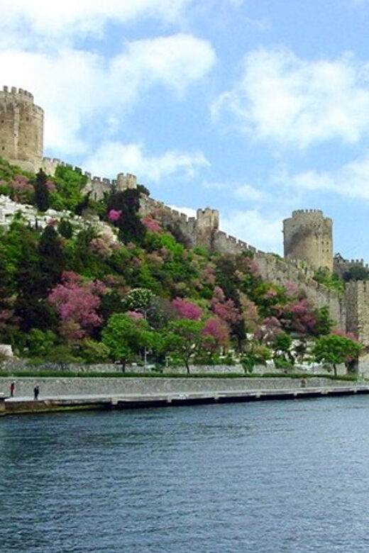 Istanbul Half-Day Tour and Bosphorus Cruise - Bosphorus in 4 Hours: The Smart Way to See Two Continents
