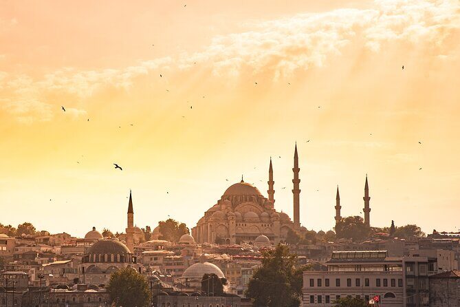 Istanbul Highlight Shore Excursion for Cruise Ship Passengers - Hagia Sophia Grand Mosque: Optional Interior Time