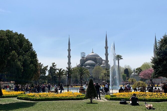 Istanbul Highlights from Cruise Pier with Skip-the-Ticket-Line - From Cruise Pier to Sultanahmet: The Tram That Keeps Your Day Moving