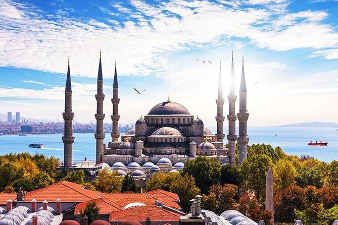 Istanbul Highlights: Half Day Morning Tour - Pace, pickup, and the one thing to watch near the end