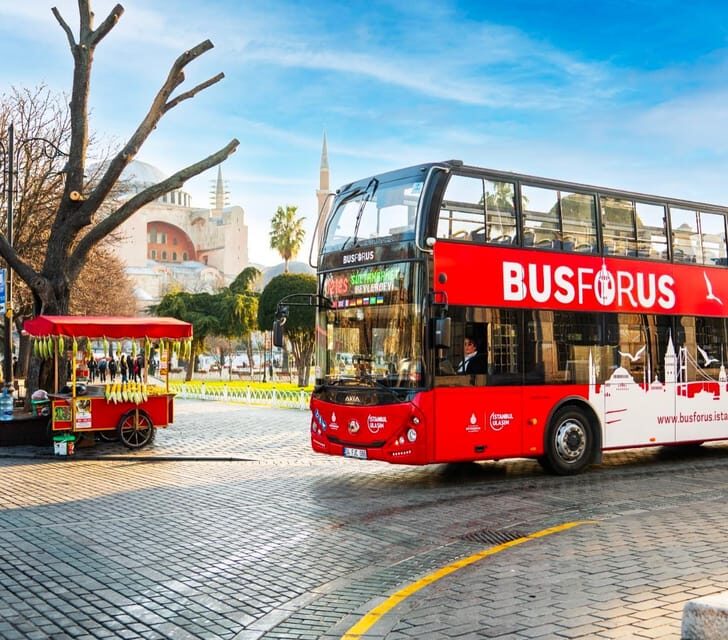 Istanbul: Hop-On Hop-Off Bus Ticket - Key things that make this bus pass worth your time