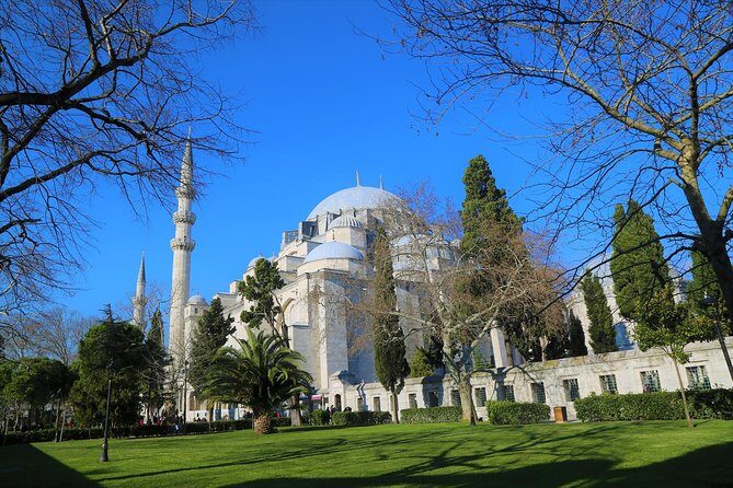 Istanbul Layover Tour: Private & Personalized with Transfers - Museum and art-gallery options for when you want more than monuments