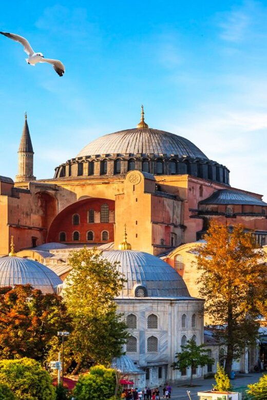 Istanbul: Old City Full-Day Tour -(Entry Fees Inculucing) - Hagia Sophia Area Viewpoint (No Museum/Mosque Entry)