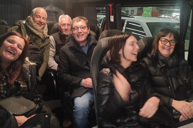 Istanbul Old City Tour T-01 - The vehicle standard: air-conditioned and no older than 3 years
