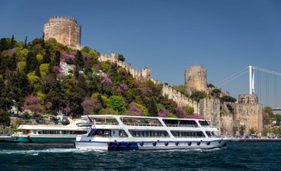 Istanbul: Old Town Tour and Bosphorus Lunch Cruise - Who this tour suits best (and who should think twice)
