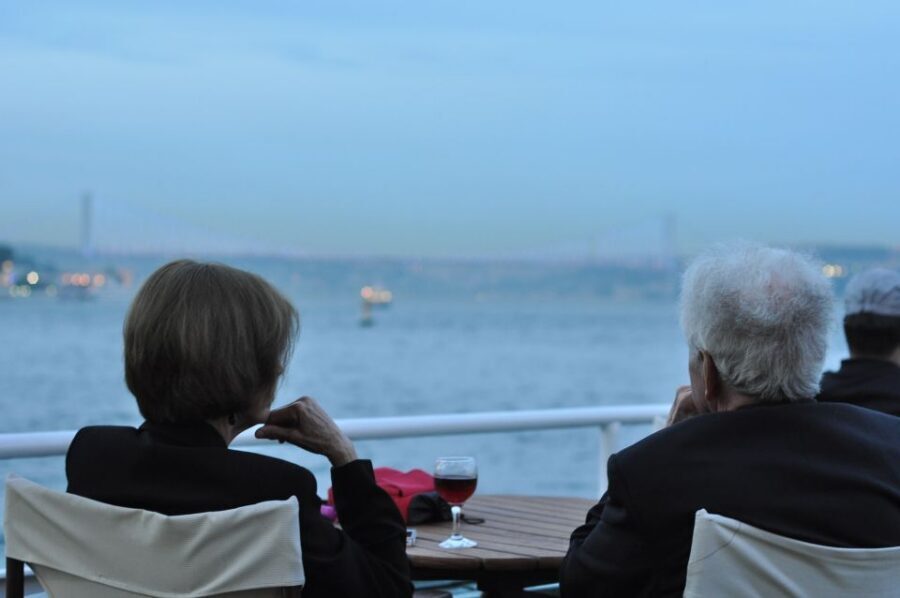 Istanbul: Pasha Istanbul Dinner Cruise - Istanbul Bosphorus at night: why this timing is so good