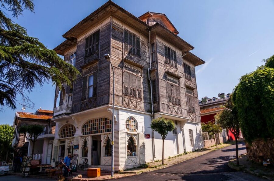 Istanbul Princes island Tour visiting 2 island - Büyükada first: pine scenery, easy pace, and optional electric car