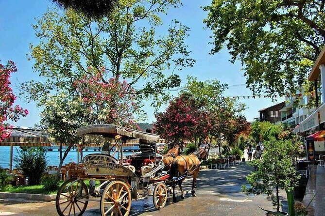 Istanbul Princes Island Tour with Lunch & Hotel Transfer - Getting to Ahırkapı: pickup, bus ride, and what the day feels like