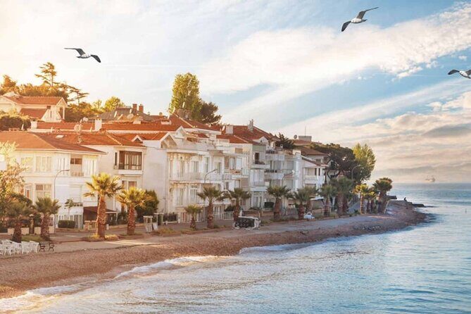 Istanbul Princes’ Islands Boat Trip with Lunch - Buyukada stop: lunch, beach strolling, and whether to rent a bike