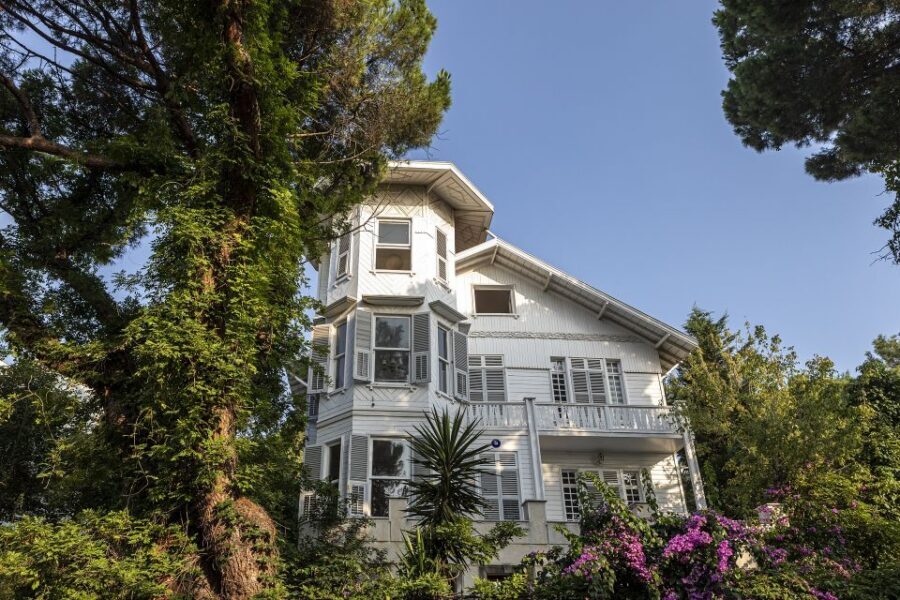 Istanbul: Princes' Islands Cruise w/Music, Lunch & Transfer - Kınalıada Walk: Short Tour, Hills, and then Freedom