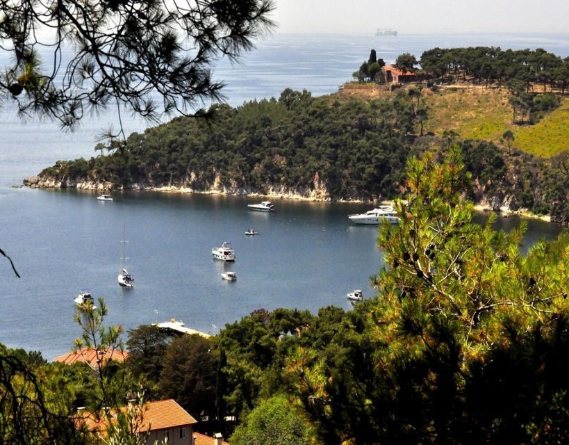 Istanbul: Princes' Islands Tour with Lunch and Transfers - Lunch on the Boat: Filling, Not Fancy, With a Fun Return-Trip Atmosphere