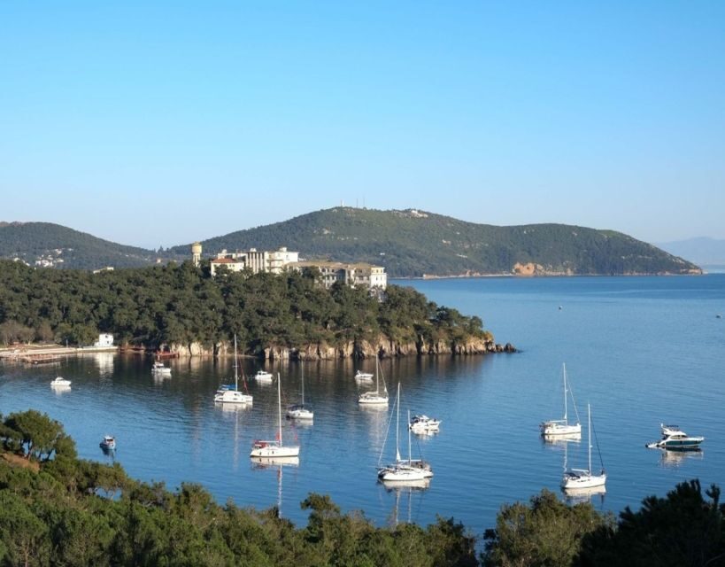 Istanbul: Princes' Islands Tour with Lunch and Transfers - Price and Logistics: Transfers, Meeting Point at the Pier, and Costs You Control