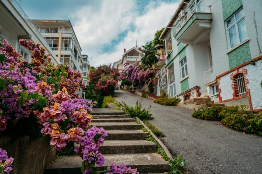 Istanbul: Princes Islands Walking Full-Day Tour - Key things that make this tour worth your time