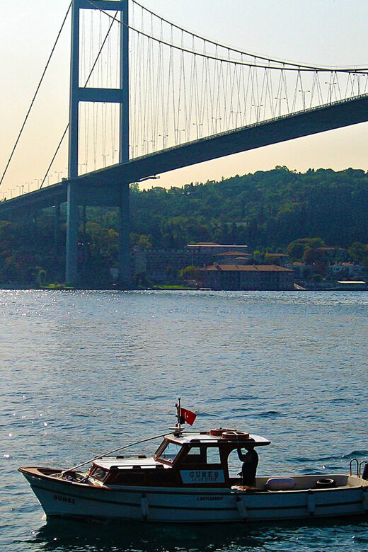 Istanbul: Princes Islands Walking Full-Day Tour - What you learn on the water and on land (and why it matters)