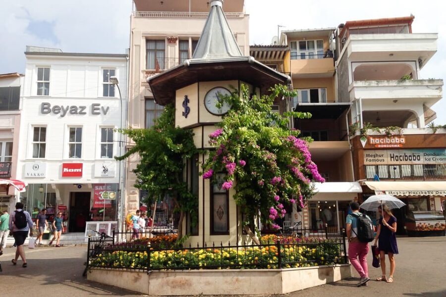 Istanbul: Princes Islands Walking Full-Day Tour - Who this tour fits best (and who should think twice)