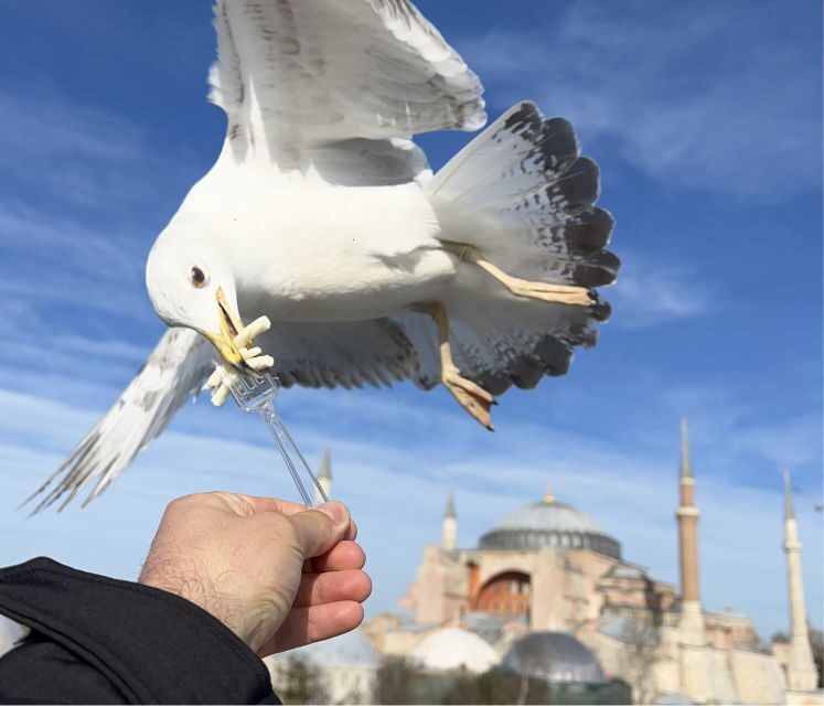 Istanbul: Private City Tour with Transportation - Sultanahmet District break time, shopping, and the practical pause