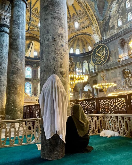 Istanbul Private Full-Day Highlights Tour with Guide - A 7-hour Istanbul route that keeps you oriented