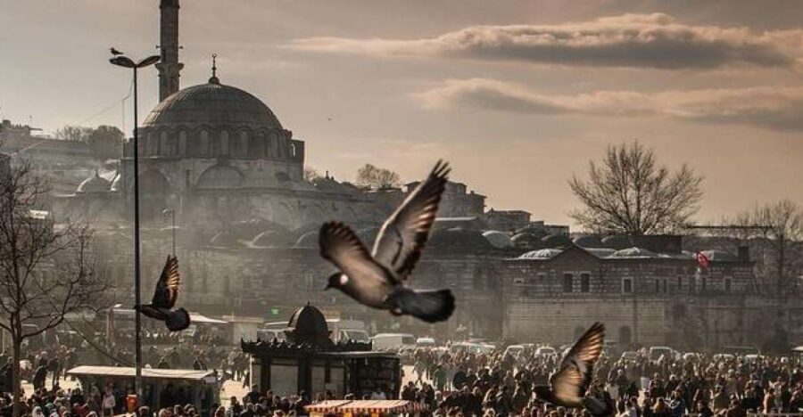 Istanbul: Private Full-Day Old City Highlights Tour - Old City, private pace: what makes this day work