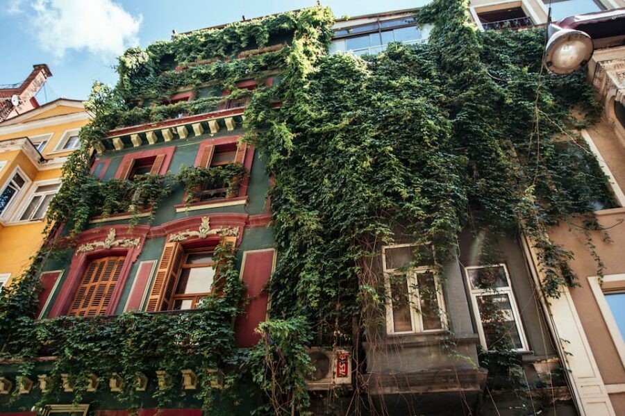 Istanbul: Private Guided Food Tour with 10 Tastings - The 10 Tastings: Sweet, Savory, and Local Drinks
