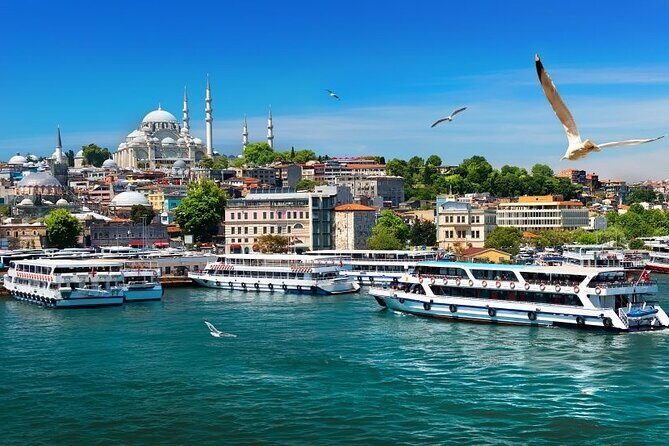 Istanbul Private Tour from Cruise Port - Grand Bazaar for an Hour: Shopping Without Losing Your Head