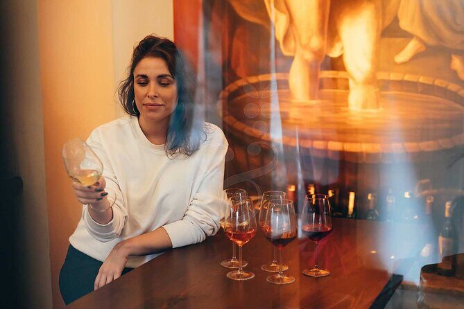 Istanbul Private Wine Tasting Tour Through 3 City Wineries - Price and value for a 3.5-hour private tour