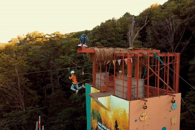 Istanbul Quad Bike Safari with Optional Zipline Experience - Quad biking in Belgrad Forest: the Istanbul escape you can control