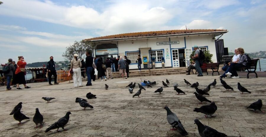 Istanbul Revealed: Historic Pathways and Bosphorus Serenity - Golden Horn to Galata: Sightline City Stops Before the Water