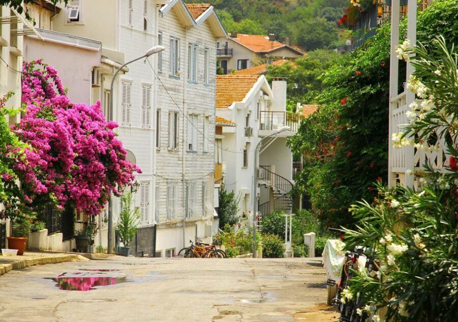 Istanbul: Round-Trip Ferry Tickets to the Princes' Islands - Beaches, biking, and harbor lunch—simple choices that work