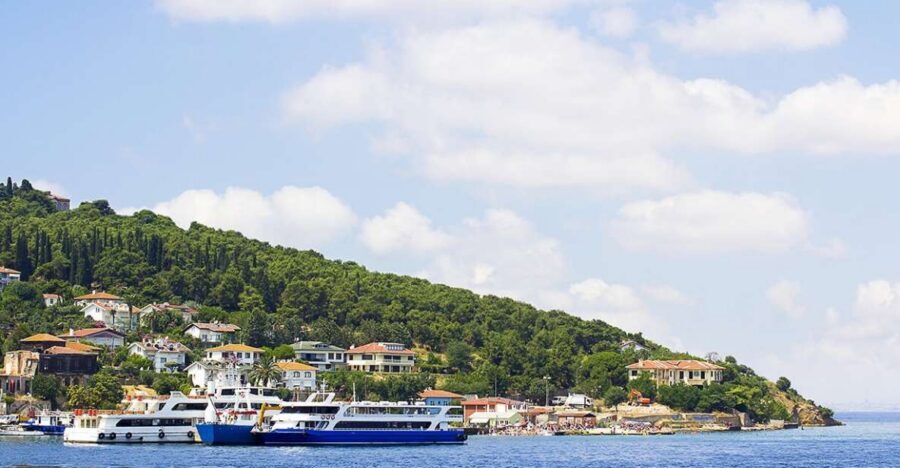 Istanbul: Round-Trip Ferry Tickets to the Princes' Islands - Timing and the ferry ride: how to choose your departure