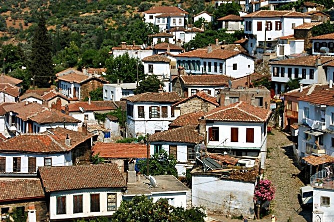 Istanbul to Ephesus Full Day Guided Tour, Flight and Lunch incl. - Group size, comfort, and the human side of the experience