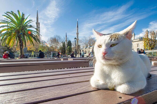 Istanbul Walking Tour with Audioguide on Your Smartphone - FAQ