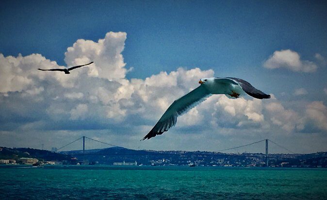 Luxury Private and Guided Istanbul Food Tour with a local guide - Kadıköy Çarşı Walk and the Baylan Patisserie Pause