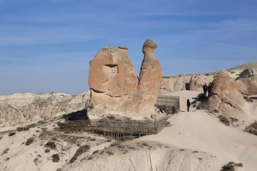 Mochiron Tour Full day Cappadocia With Japanese Guide - Devrent Valley and Pasabagi: rock formations that feel like a story