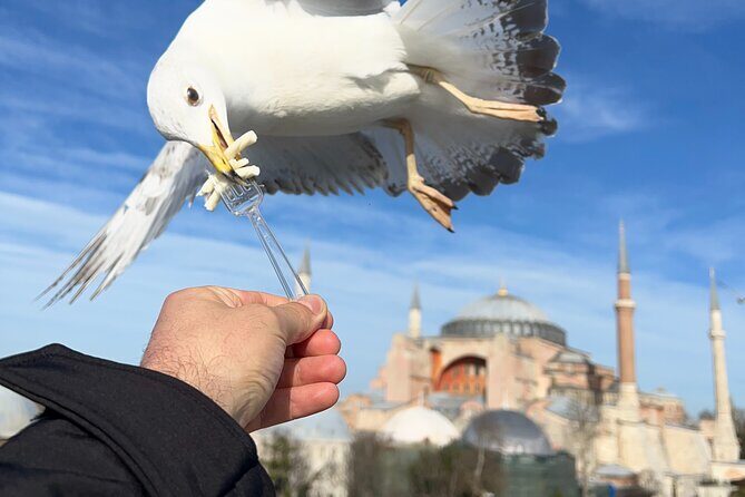 Multi 2 Days Private Guided Istanbul Iconic Landmarks City Tour - Price and logistics: what you’re really paying for
