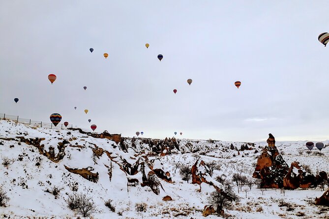 Multi Language Private Tour in Cappadocia - Paşabağı fairy chimneys in Monks Valley