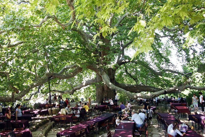 Premium Bursa and Uludag Tour - (Breakfast-Lunch Included) - Uludağ free time at altitude: how to use your one-hour window