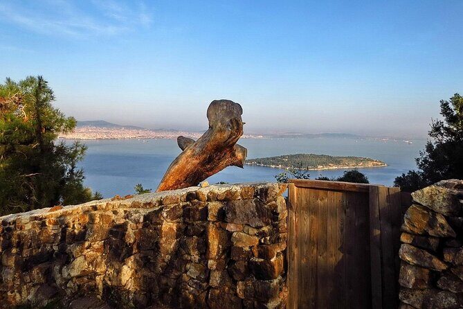 Princes Island Full Day Tour - Büyükada: guided island walk, lunch, then beach and shopping