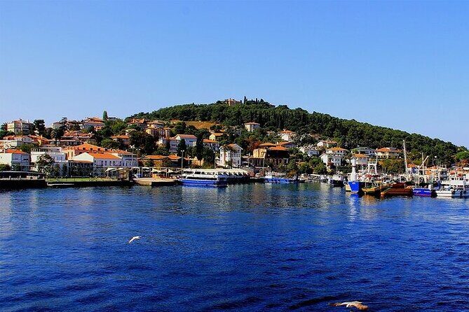 Princes Island Full Day Tour - The Istanbul shopping stop: quick and optional energy